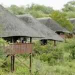 Nkwazi Bush Camp
